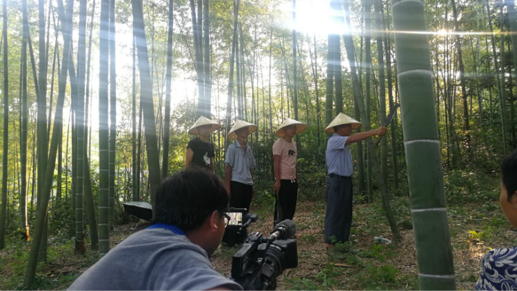 鲜竹酒基地种酒图览